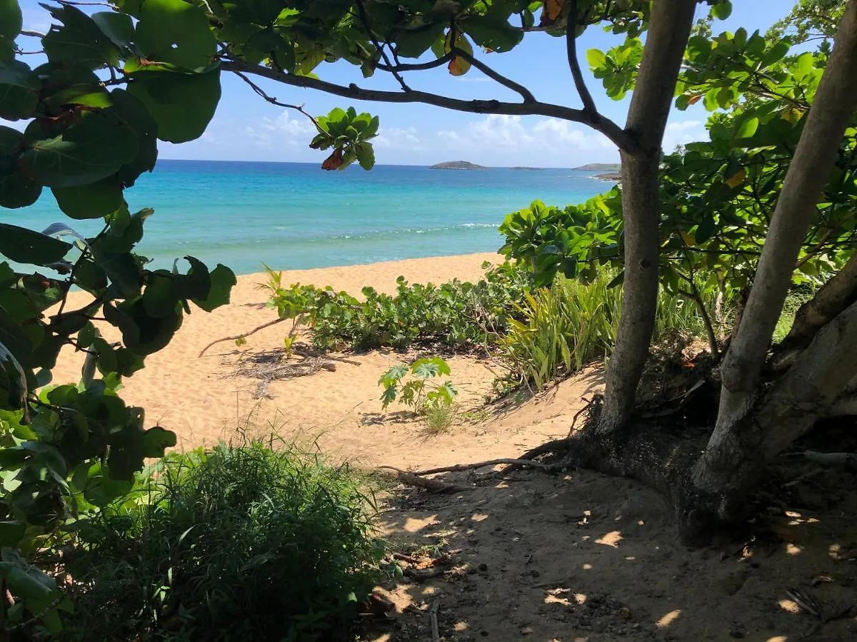 Las Olas Beach Apartments Arecibo