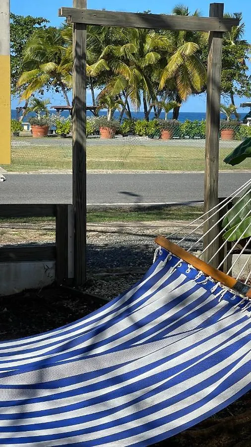 Las Olas Beach Apartments Arecibo