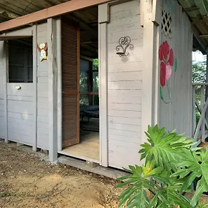Dos - A Escoger Segun Disponibilidad De Caseta O Caguas
